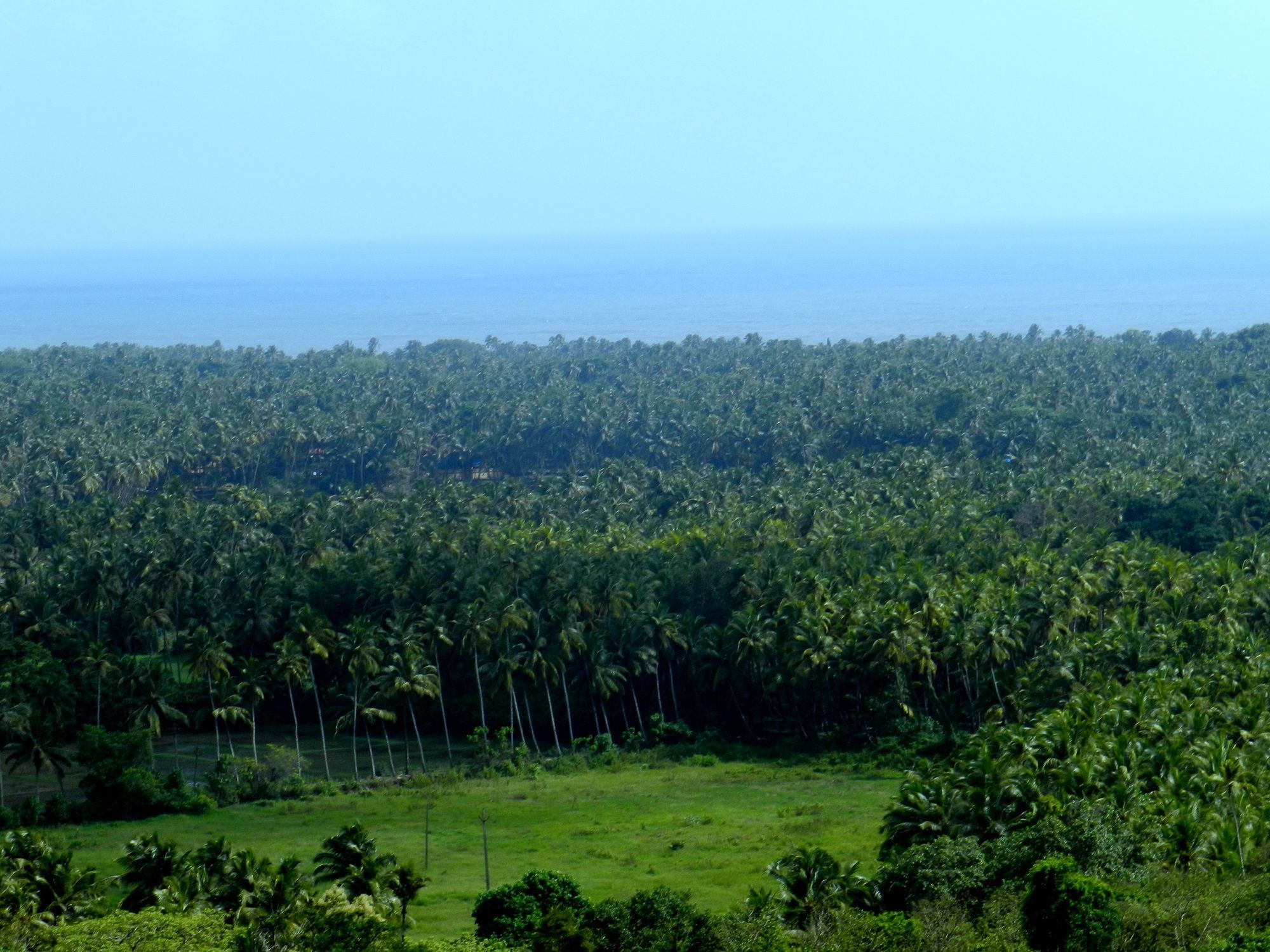 The Queeny Sancoale Luaran gambar